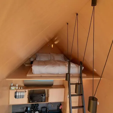 Premium Sustainable Mecsek Reindeer