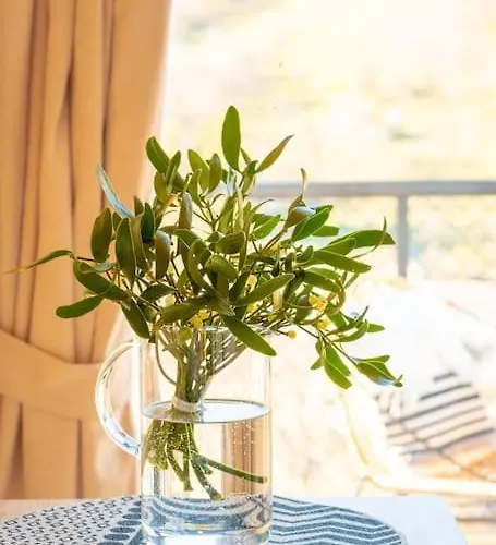 Premium Sustainable Mecsek Reindeer Hosszuheteny
